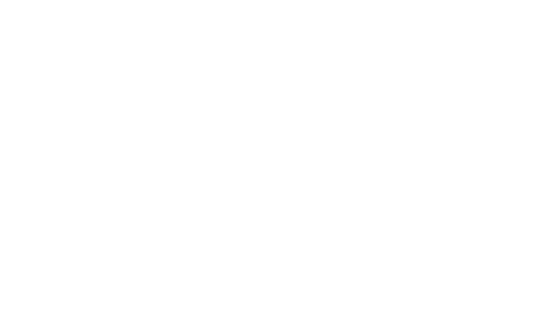 Starlet Innovations Logo
